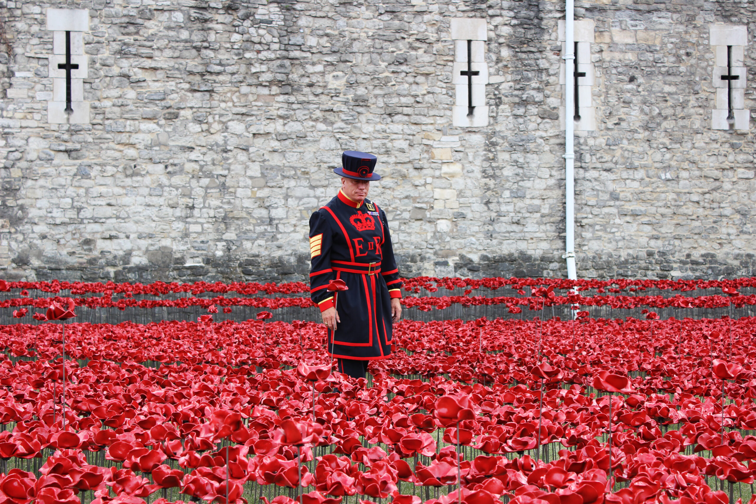 Tower of London poppies Yeoman