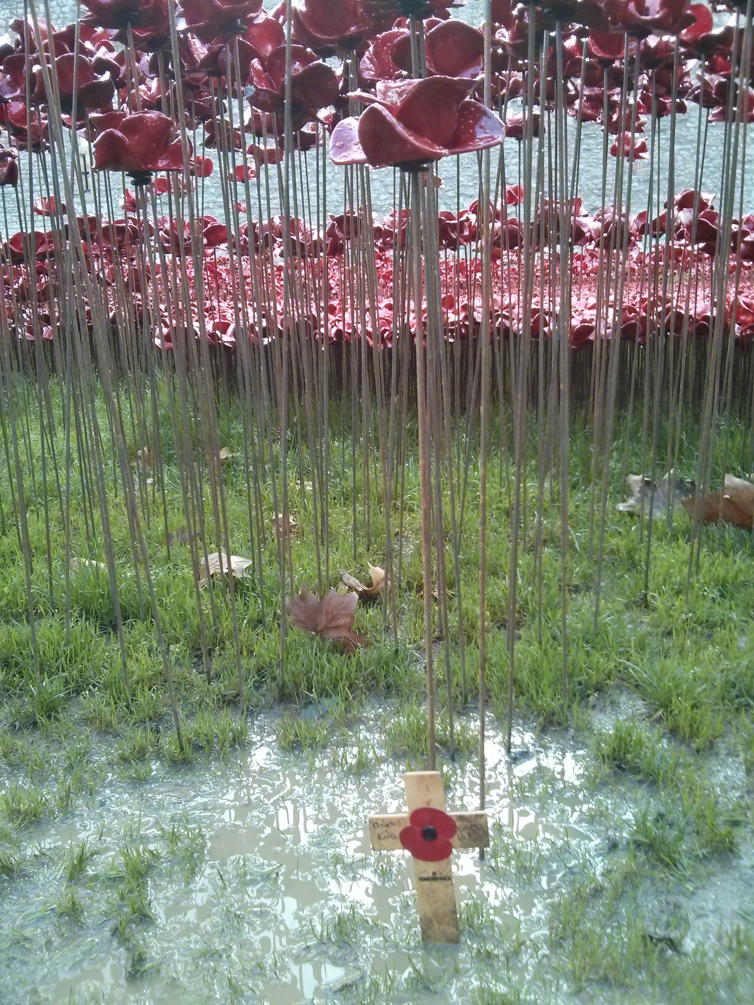 A cross hidden amongst Tower poppies