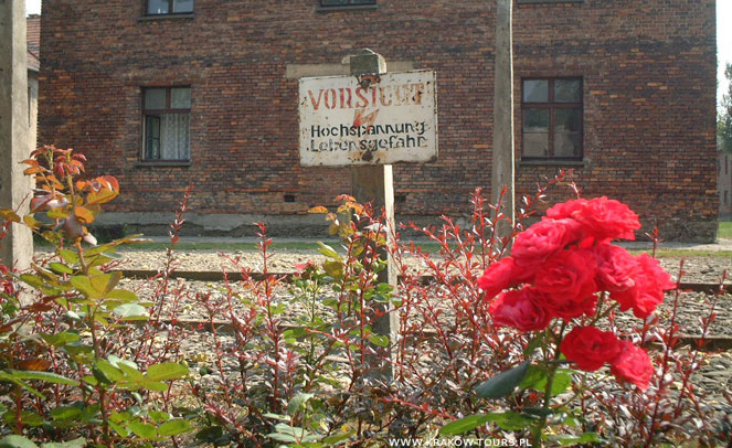 Visiting Auschwitz