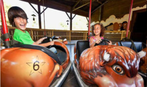 Buffalo Rodeo at PortAventura