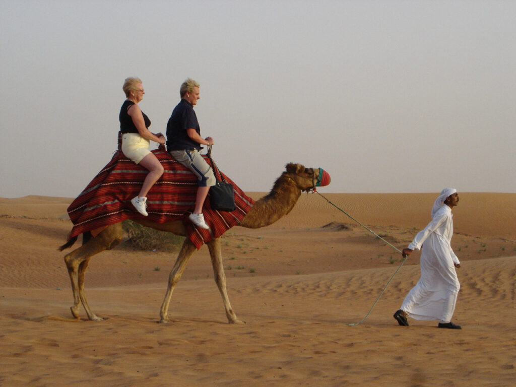 Camel Riding in Dubai