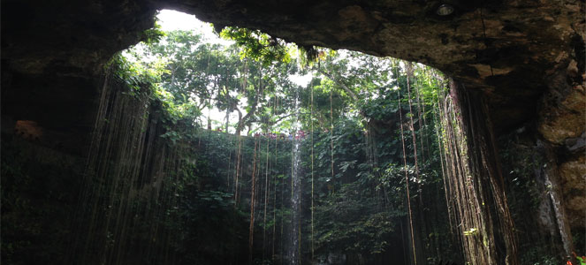 Top view of the Chichen Itza Cenote