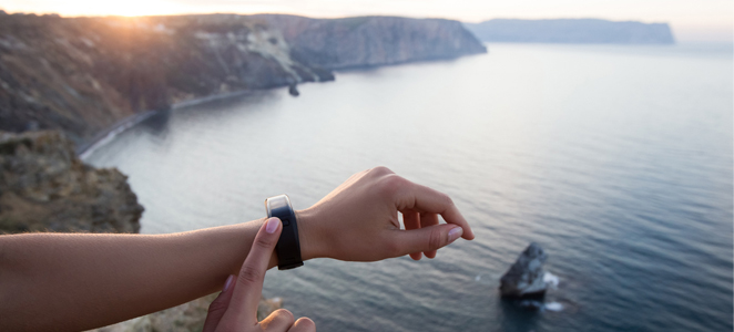 fitbit with travel