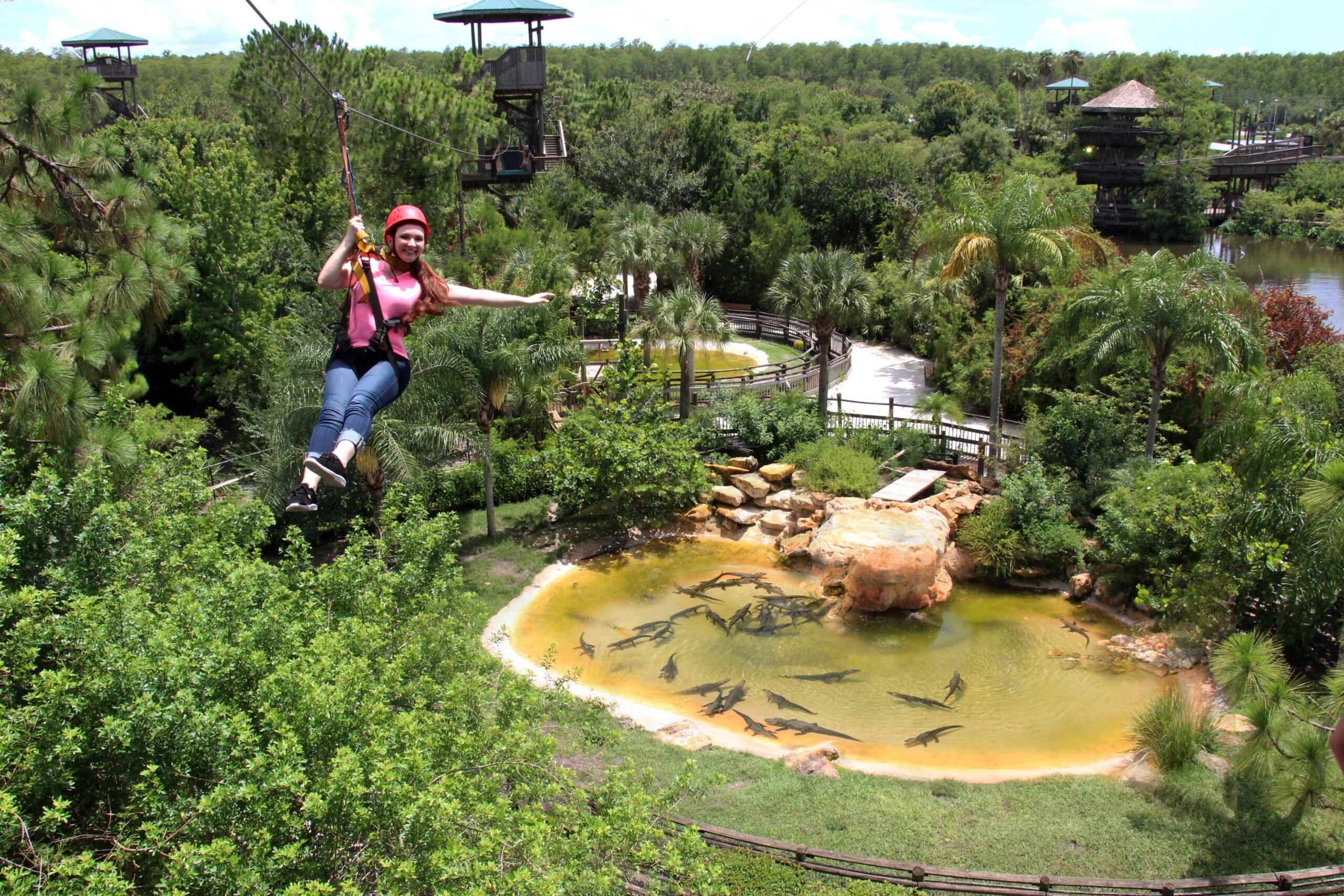 Gatorland Zip line