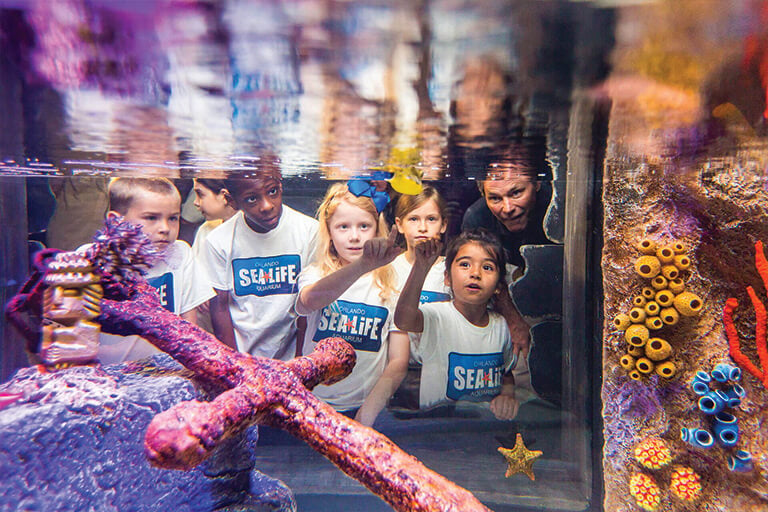 sea life orlando