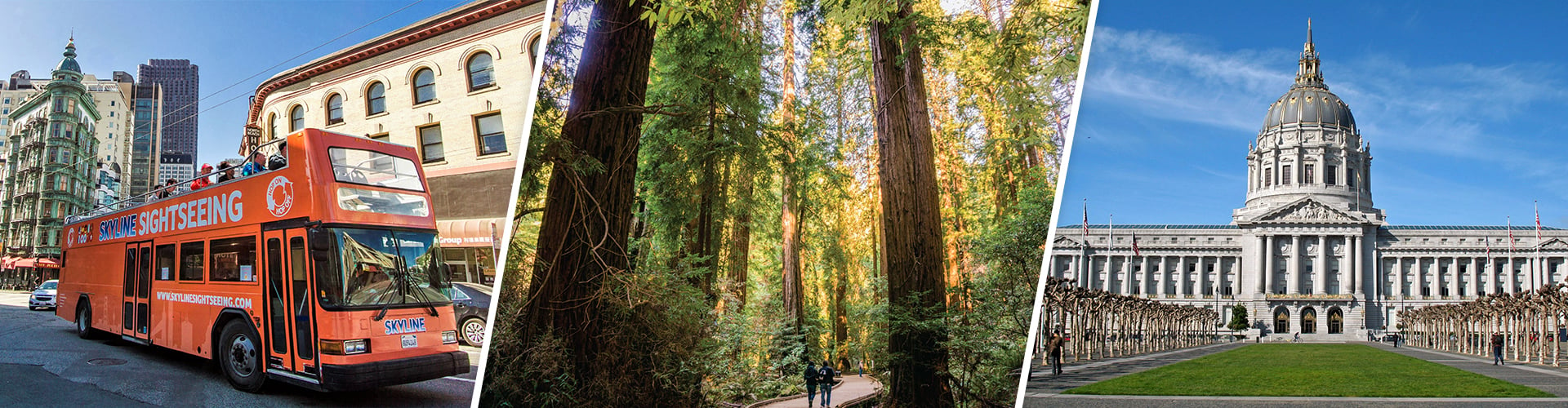 City & Woods (1-Day Hop-On Hop-Off + Muir Woods Tour)