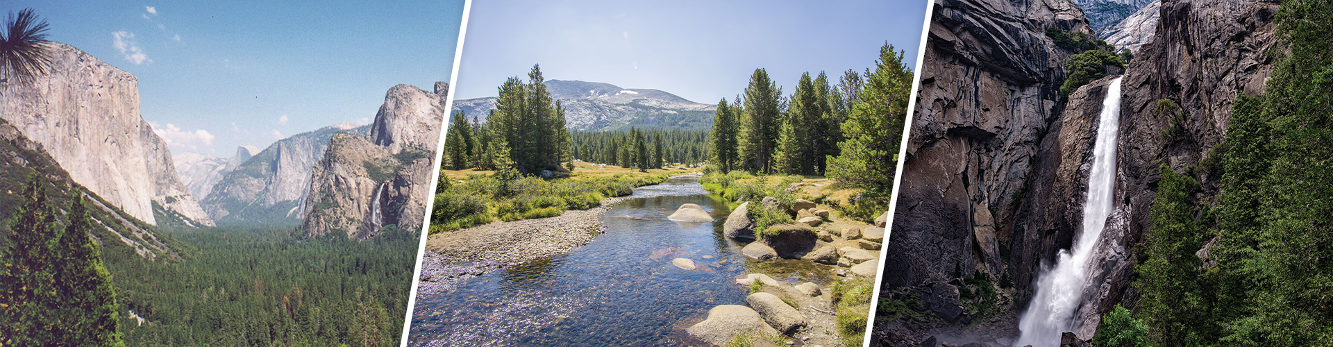 Yosemite National Park Tour