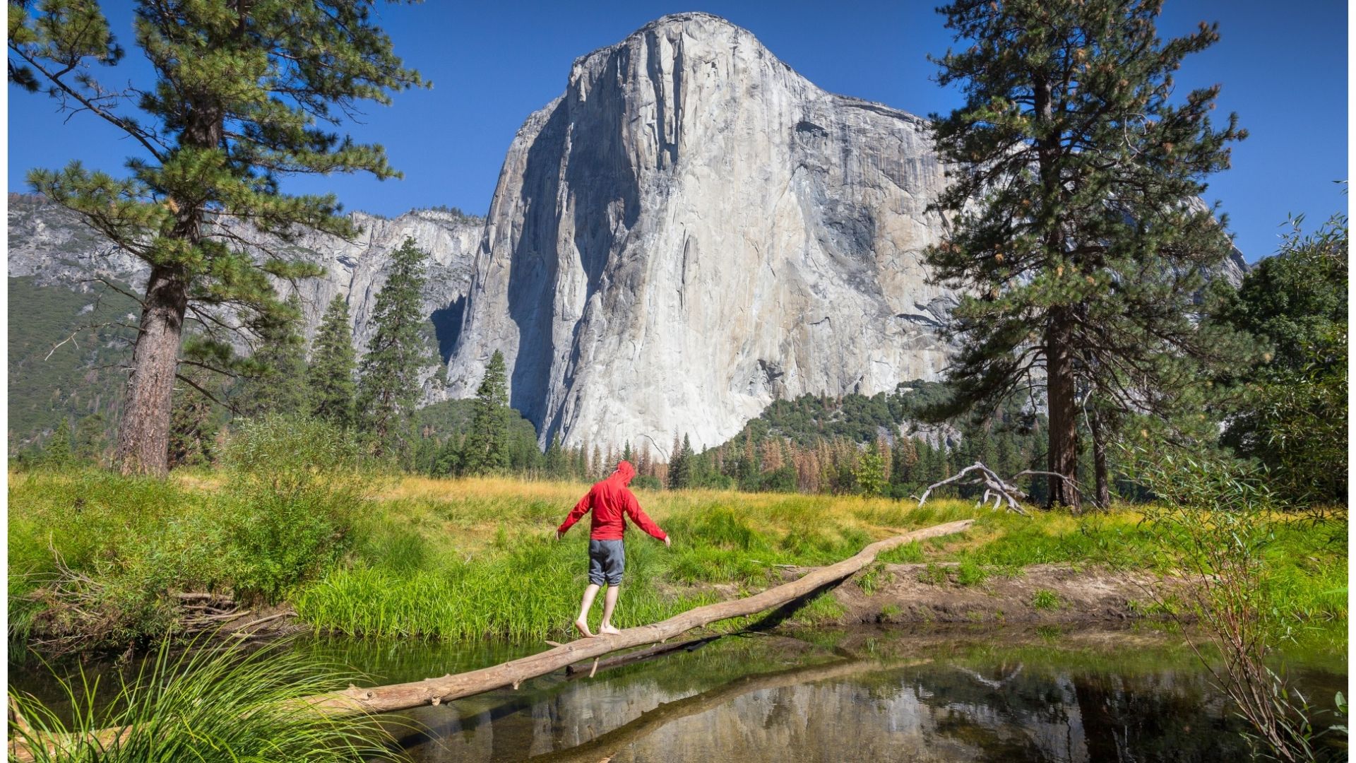 Yosemite National Park Tour